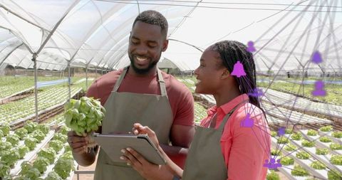 Collaborating Greenhouse Farmers Using Digital Tablet for Precision Agriculture