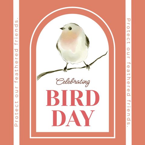 bird day celebration design illustrating wildlife protection - Download Free Stock Templates Pikwizard.com