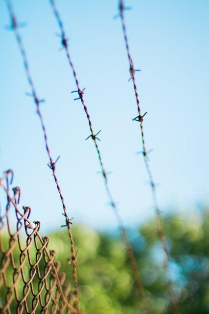 This image shows a close-up view of barbed wire and a fence against a blue sky. Useful for illustrating themes of security, protection, boundaries, and restrictive barriers. Ideal for articles, educational material, or website banners on safety, boundaries, and fencing solutions.