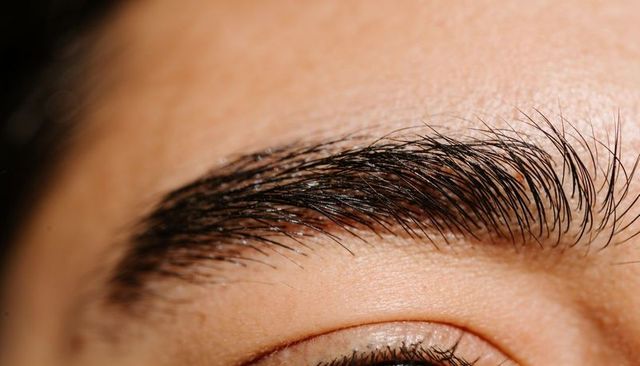Macro closeup showing natural eyebrow hairs and upper eyelid skin texture