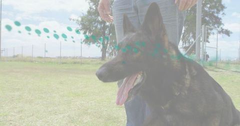 German shepherd sitting and panting by fence with owner in jeans at dog park