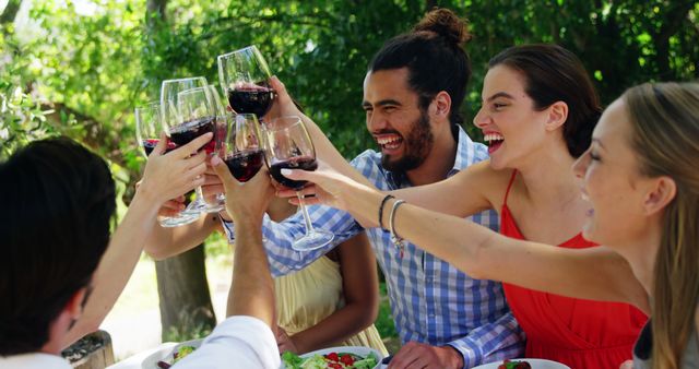 Group of Friends Toasting Red Wine at Outdoor Gathering - Download Free Stock Images Pikwizard.com