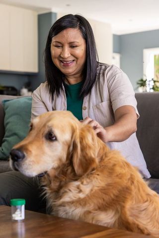 Mature indian woman smiling and petting golden retriever on sofa near pill bottle and cushion