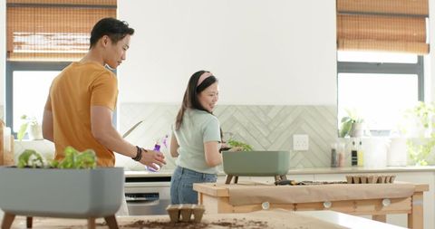 Asian couple potting seedlings on kitchen island in sunlit kitchen, indoor gardening
