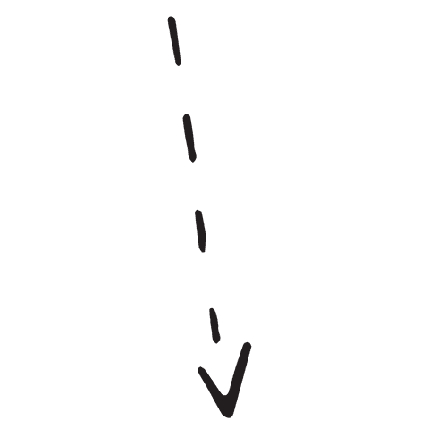 simple black arrow with dashed lines on transparent background - Download Free Stock Videos Pikwizard.com