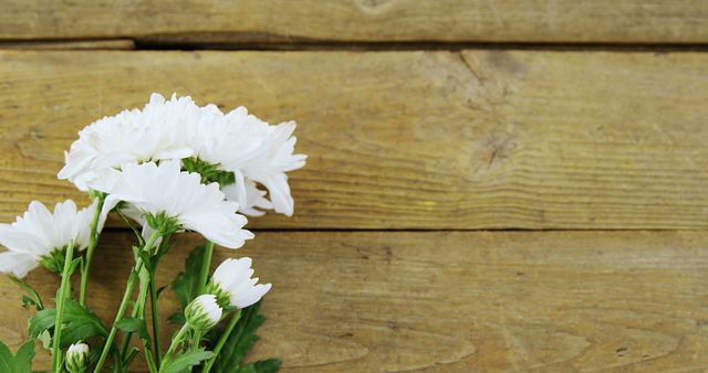 Close-up of bunch of white flowers on wooden plank
