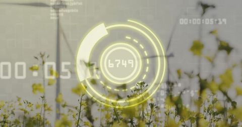 Ar display over scenic canola field: merging agriculture technology