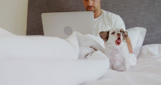 A young Caucasian man works on his laptop in bed, sharing the space with a small dog that appears to be yawning or barking, with copy space. The cozy setting suggests a relaxed work-from-home environment or a leisurely morning routine.