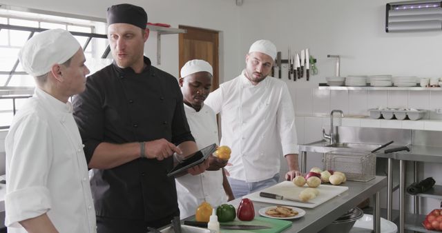 Team of Chefs Discussing Recipe in Commercial Kitchen - Download Free Stock Images Pikwizard.com