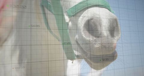 Horse Muzzle with Grid Overlay Indicating Data Tracking in Open Country