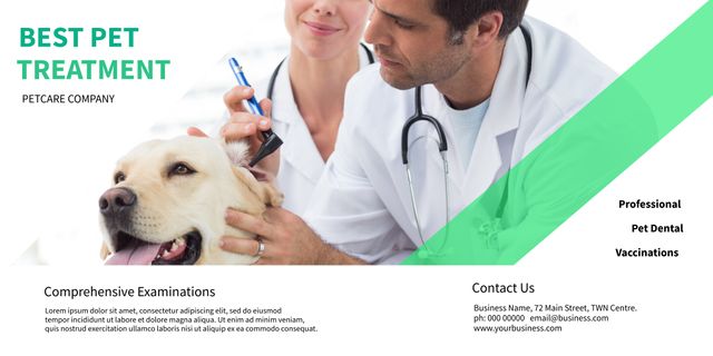 Vet Examines Happy Retriever For Trusted Pet Care Services - Download Free Stock Templates Pikwizard.com