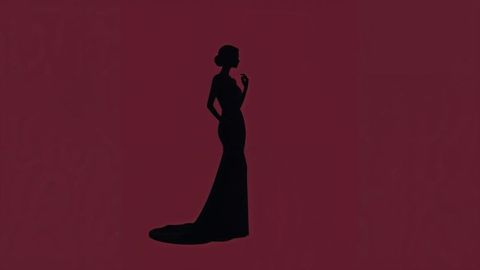 Silhouette of a beautiful lady elegant evening gown against red background