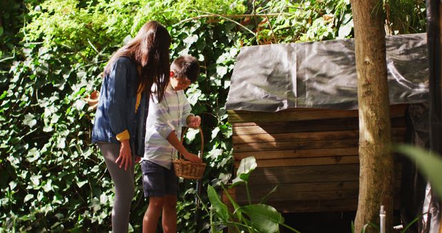 Mother and Son Collecting Eggs from Chicken Coop in Garden - Download Free Stock Images Pikwizard.com