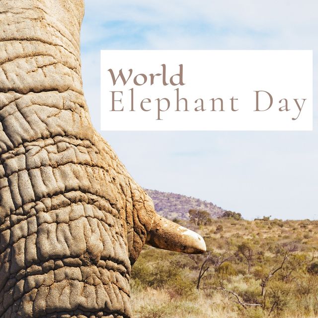 Digital composite of elephant's trunk against sky in forest and world elephant day text, copy space. Animal, wildlife, awareness and protection concept.