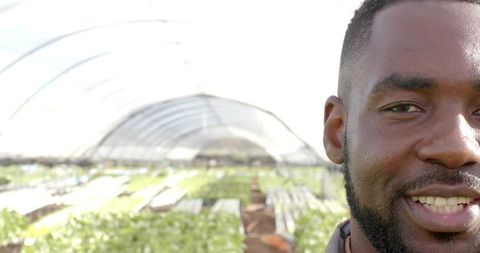 Bearded farmer in plastic greenhouse nurturing crops
