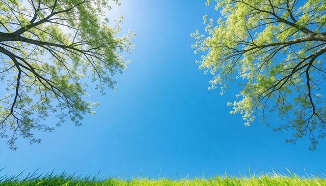 Framing clear blue sky through spring tree canopy over sunlit lush grass nature background