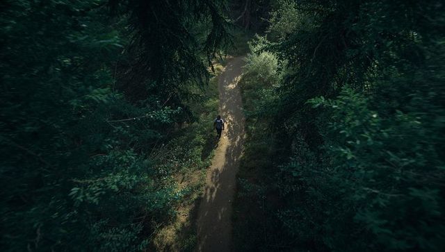 Solitary hiker strolling through lush forest pathway