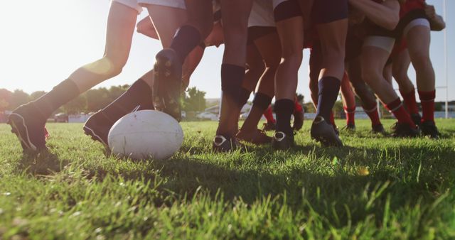 Rugby players competing for ball on sunny field - Download Free Stock Images Pikwizard.com