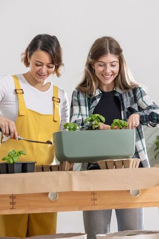 Diverse women planting herb seedlings in sage-green planter for indoor gardening joy