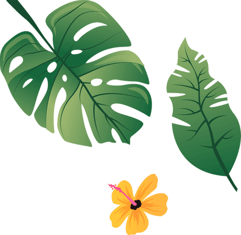 Transparent tropical leaves and hibiscus flower illustration
