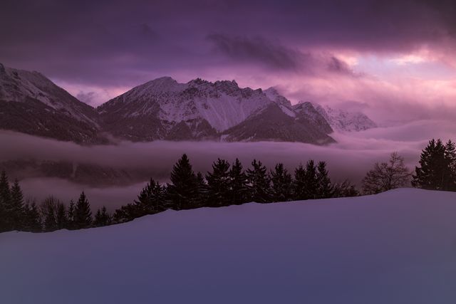 Purple sunset casting beautiful hues on snowy mountain landscape with forest in foreground. Perfect for nature enthusiasts, travel publications, winter vacation promotions, serene and tranquil scenery compilations.