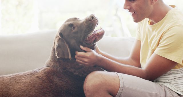Young man sitting on sofa at home, bonding with his brown Labrador dog. The dog looks happy and relaxed. Ideal for use in campaigns or articles about pet ownership, companionship, or lifestyles featuring dogs. Perfect for promoting pet care products, veterinary services, or home living.
