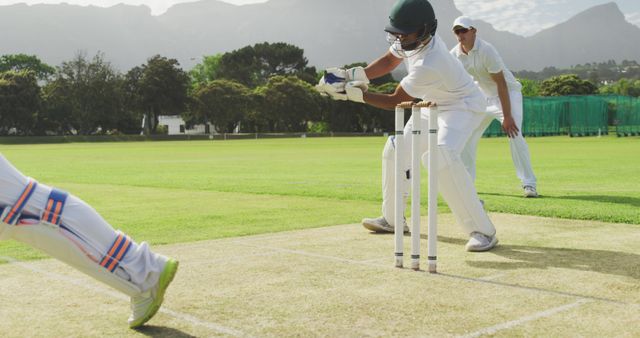 Batsman and fielder action during cricket game on sunny day - Download Free Stock Images Pikwizard.com