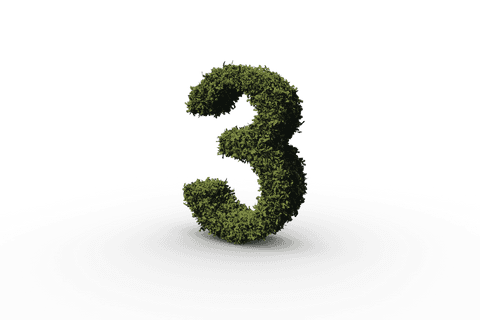 number 3 made of green plants on transparent background - Download Free Stock Videos Pikwizard.com