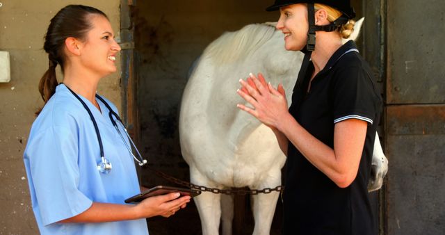 Vet and Equine Owner Discussing Horse's Health in Stable - Download Free Stock Images Pikwizard.com