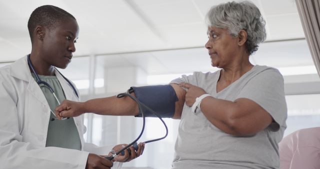 Doctor Checking Blood Pressure of Older Female Patient in Hospital - Download Free Stock Images Pikwizard.com