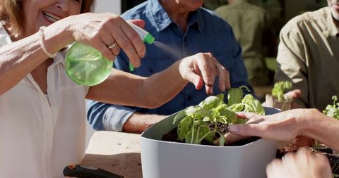 Friends gardening herb seedlings on patio table
