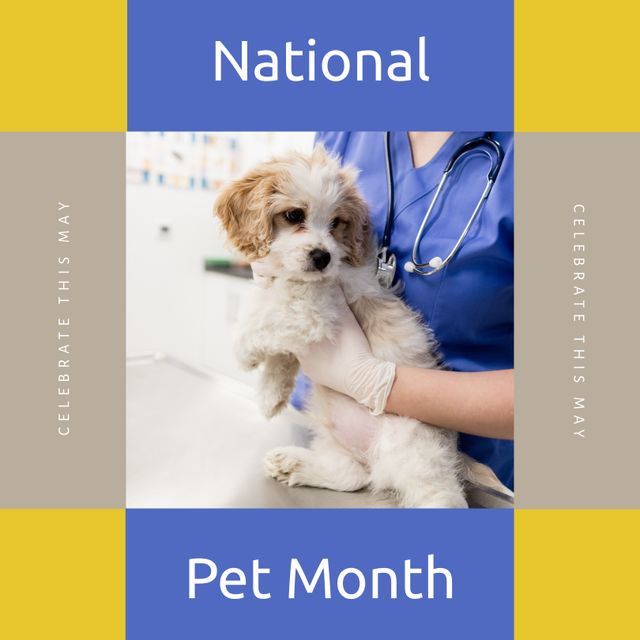 National Pet Month Celebration with Veterinarian Holding Puppy - Download Free Stock Templates Pikwizard.com