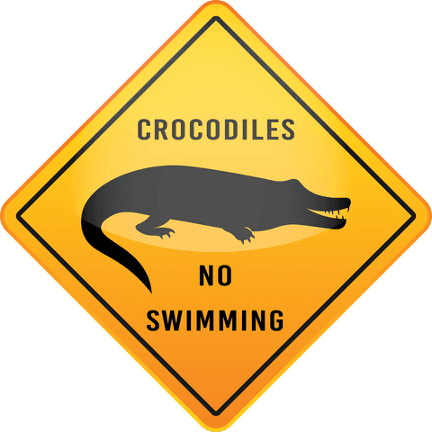 transparent crocodile warning sign danger design - Download Free Stock Videos Pikwizard.com