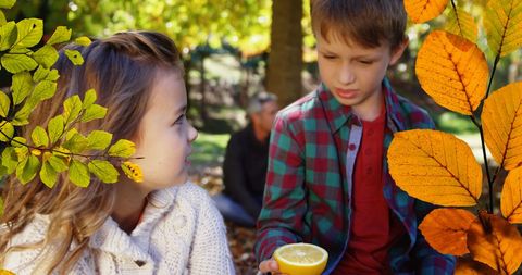 Children Savoring Autumn Outdoors with Fresh Fruits