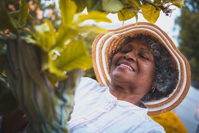 Happy african american senior woman gardening in sunny garden smiling - Download Free Stock Photos Pikwizard.com