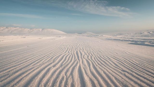 Rippling wind-sculpted snow ridges stretching across arctic plain under pastel sky