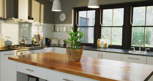 Modern Bright Kitchen with Wooden Island and Houseplant in Basket - Download Free Stock Photos Pikwizard.com