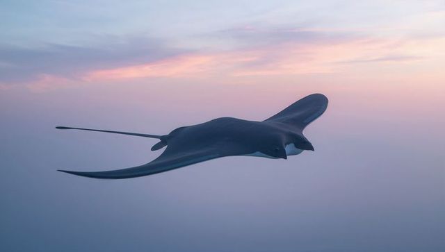 Manta ray gliding across pastel twilight sky with broad sweeping wing fins