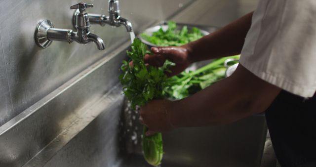 Close up of african american female chef washing vegetables in restaurant kitchen. Working in a busy restaurant kitchen.