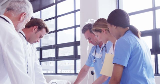 Medical Team Collaborating in Hospital - Download Free Stock Images Pikwizard.com