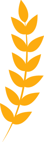 Stylized transparent plant branch with oval leaves