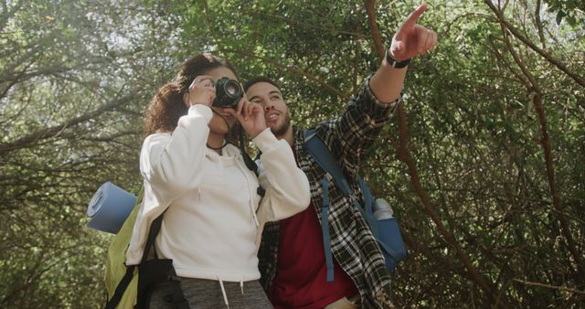 Couple Hiking in Forest Taking Photos and Pointing - Download Free Stock Images Pikwizard.com