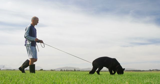 Senior man walking a black dog on a leash across a vast, green field under a clear sky. Can be used for topics related to healthy lifestyles, outdoor activities, pets, companionship, and senior fitness. Great for promoting outdoor brands, pet products, or health and wellness campaigns.