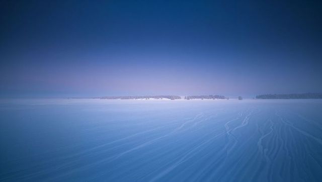 Frozen plain at dawn with wind-sculpted snow ridges and distant conifer treeline