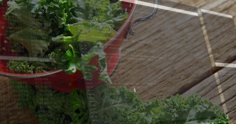 Curly kale in red colander on rustic wood with code overlay healthy food tech concept