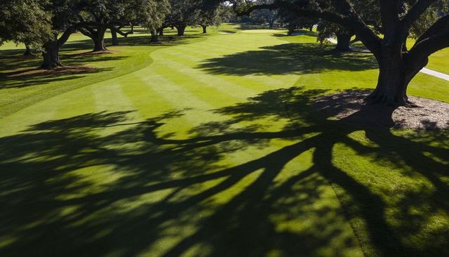 Sunlit oak shadows stretching across striped fairway parkland golf course canopy