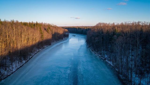 Winding frozen river running through snowy forest valley at golden hour aerial view