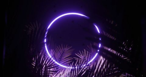 Glowing Purple Neon Circle with Palm Leaves