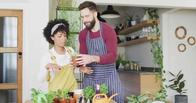 Young couple gardening together in a modern kitchen, nurturing potted plants with care. Useful for content on home living, indoor gardening, collaborative activities, and couple's lifestyle.