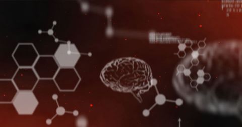 Digital Brain and Data Processing with Technology Concept - Download Free Stock Images Pikwizard.com